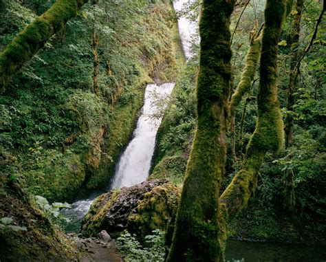 nude teen photo gallery|Jocelyn Lee’s Painterly Portraits of Nudes Immersed in Nature